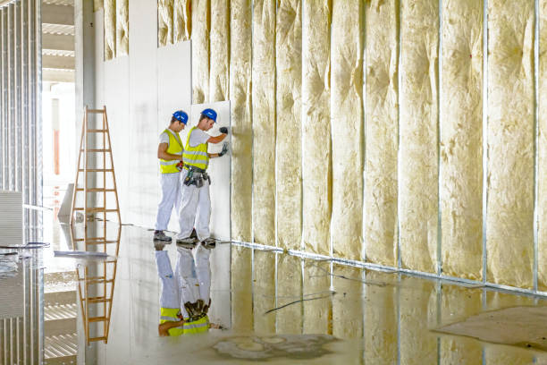 Best Insulation Maintenance and Repair in New Haven, MI